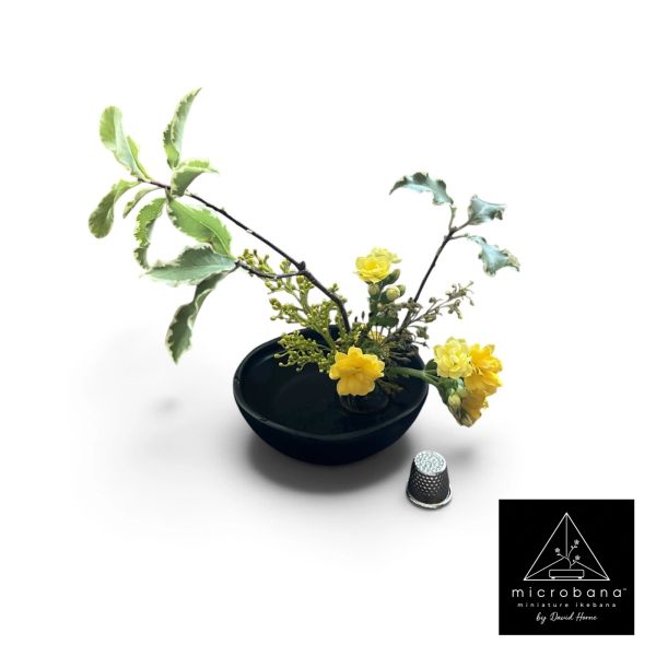 Miniature ikebana arrangement with yellow flowers and variegated leaves.