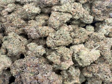 Close-up of cannabis buds.