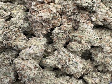 Close-up of cannabis buds.