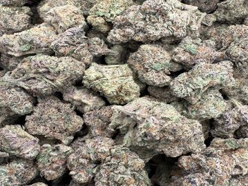 Close-up of cannabis buds.