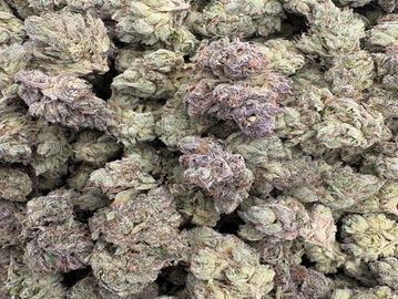 Close-up of cannabis buds.