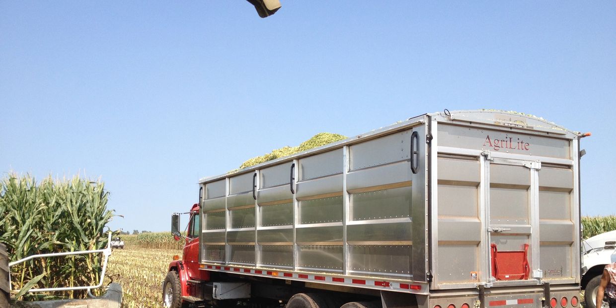 AgriLite GrainBox truck loaded with silage endgate in field