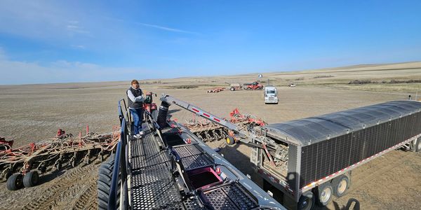 AgriLite Conveyor Trailer, Wilson Pacesetter, Filling Cart Air Seeder, Farming, Planting