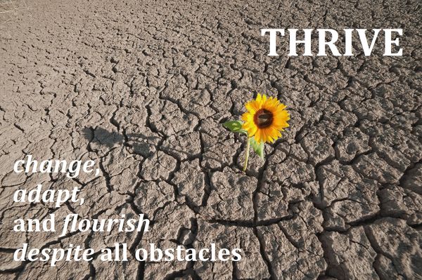 flower growing in desert. thrive: change, adspt, and flourish despte all obstacles. power of therapy