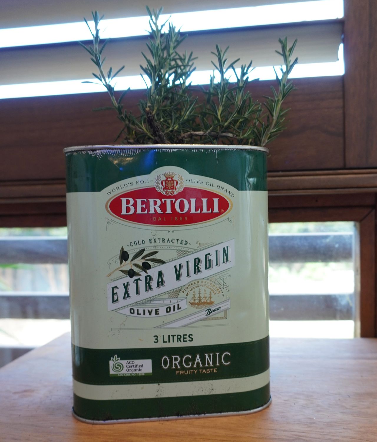 E.A.T.: How To: Make a Planter from an Olive Oil Can