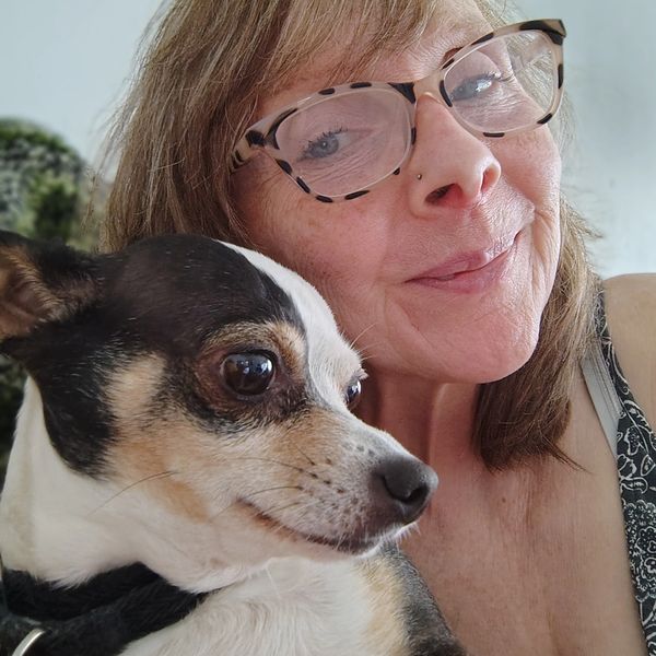 Alice - Pet Groomer
Alice has been grooming all breeds of dogs and cats for 39 years in Connecticut,