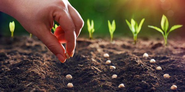 Seeds of our mission