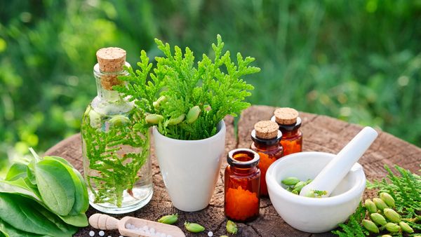 Herbal Tinctures with fresh herbs