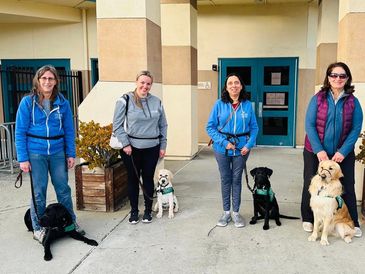 San Diego Guide Dogs for the Blind – Barking Beast