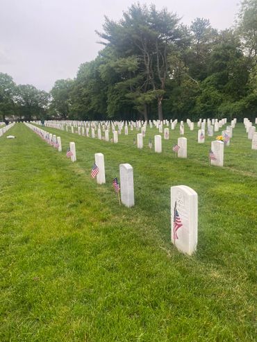 Rows of white headstones with American flags in a military cemetery.