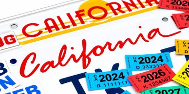 Various California license plates with 2024 registration tags.