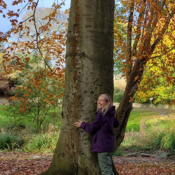 Tree hugging.
Connecting with the spirit of the tree.
Dowsing.
Tree spirits.
Tree meditation.
