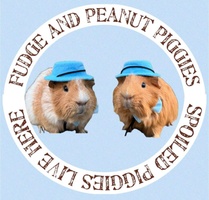 Fudgeandpeanut.piggies