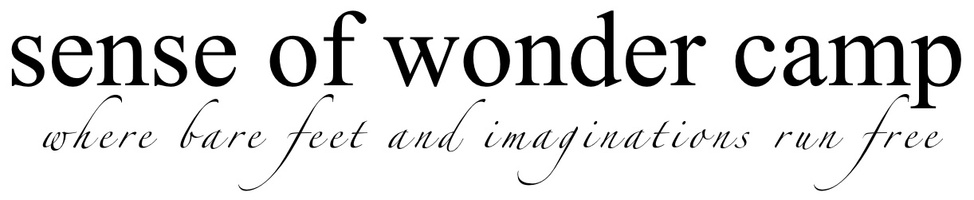 sense of wonder camp 