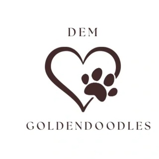 Welcome to
Dem Goldendoodles 