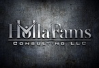 Hollafams Consulting