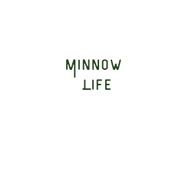 Minnow Life