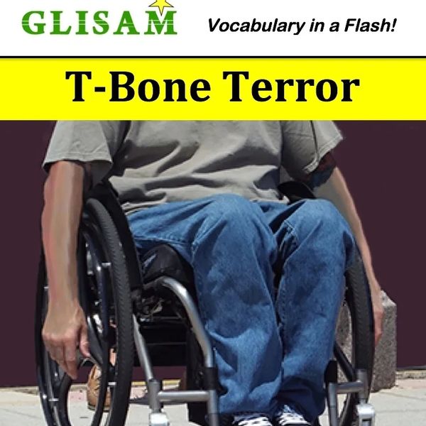 Cover photo for flash fiction story entitled T-Bone Terror. It shows a teenager in a wheelchair.