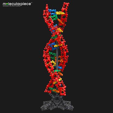 build your own molecularpiece: DNA double helix structure model and learn chemistry in a fun way