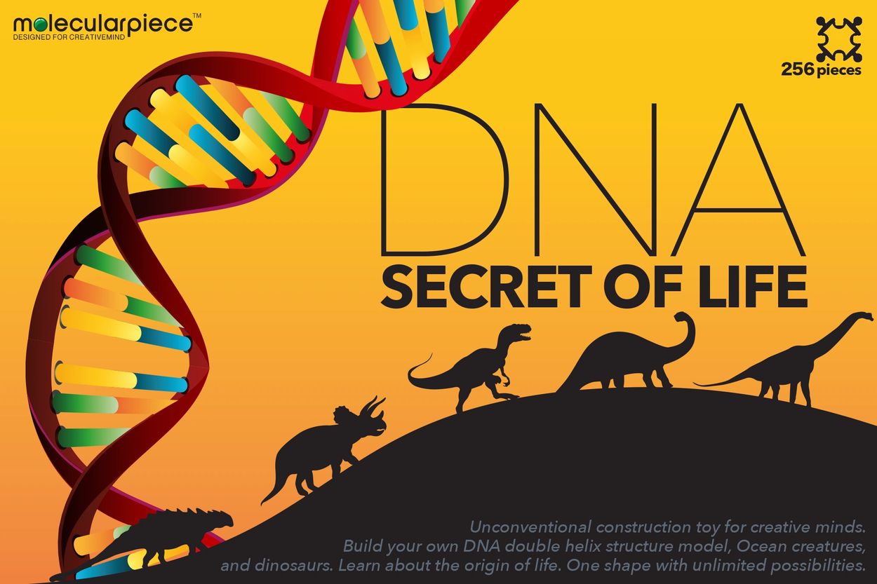 Build your own DNA double helix structure model, ocean creatures & dinosaurs. Learn origin of life.