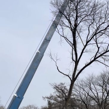 A set of 6 custom guides for the Manitex 40124SHL. The OEM cable guides are made from 1/4" mild stee