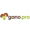 Gano Pro