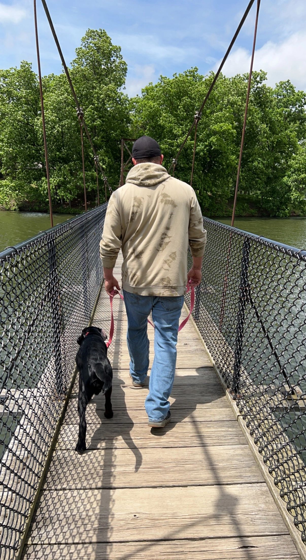 NATIONAL DOG TRAINING SERVICES REVIEWS visual data 5