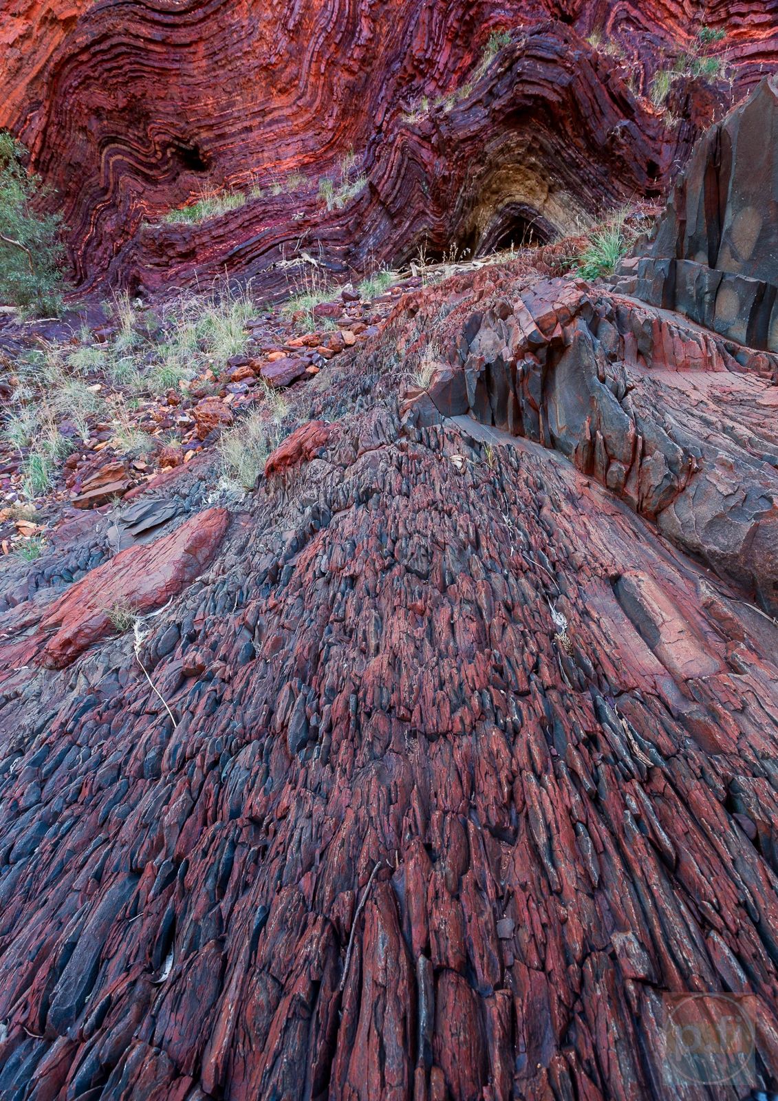 pilbara Patterns