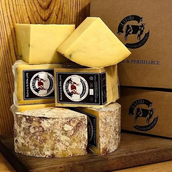 Assortment of handcrafted cheeses with rustic rind and labels, displayed on a wooden surface.