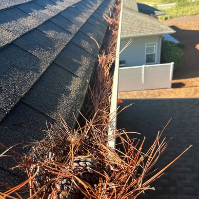 Dirty Gutter - Pineland Cleaning Solutions 