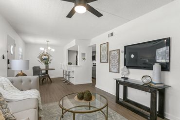 South Tampa Apartment Rental. Beautiful living room of apartment. Soho Apartments Tampa. 