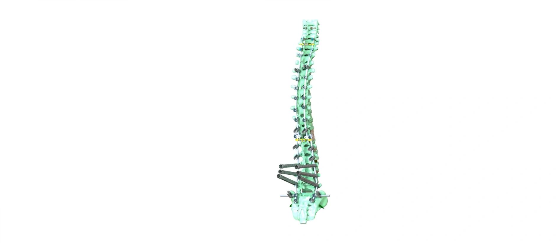 https://img1.wsimg.com/isteam/ip/d2f9528f-d21d-4372-aef6-9283e0575d69/thumbnails/thumbnail-59eb4680-d95a-437c-bec6-0ddad5d01479.png