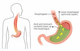 Victoria's Natural Market photo 10