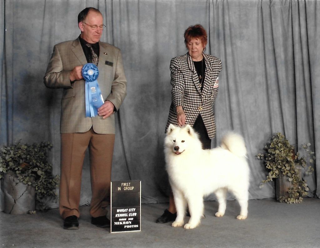 Am. Can. Ch. Polar Mist Girls Got Rhythm.  Lexxon.  Samoyed Club Of America top Brood Bitch 2005
