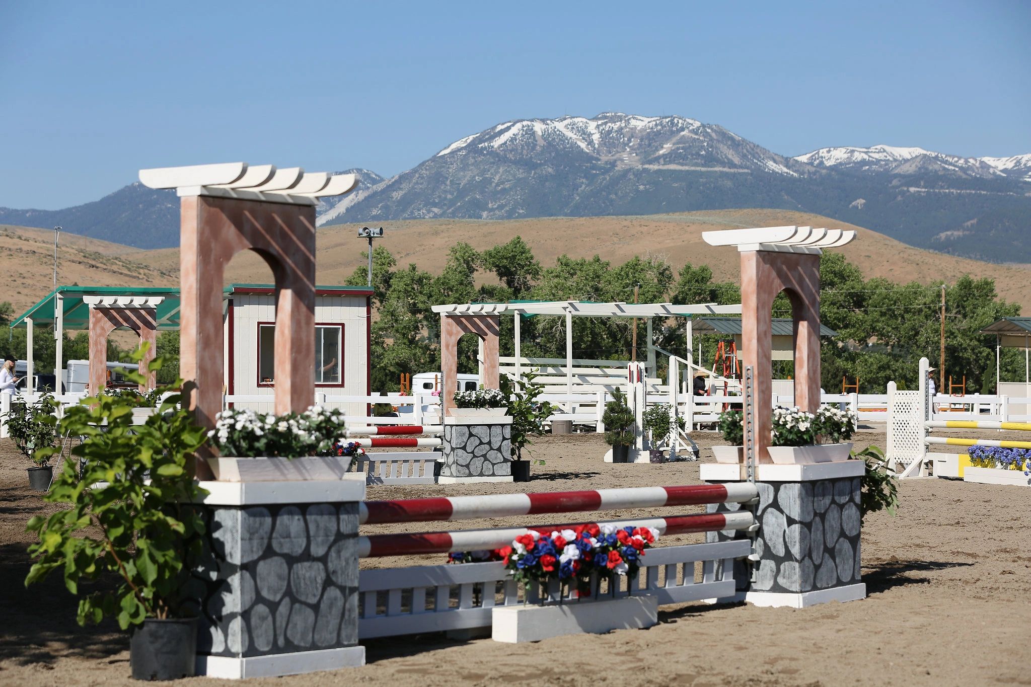 Equestrian Lessons, Horse Training Meadow View Farms Reno, Nevada