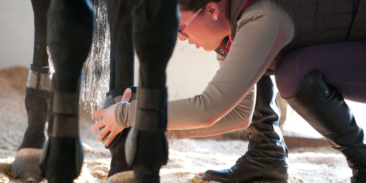 person putting equipment on a horse