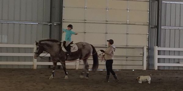 girl riding a pony