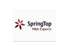 Spring Top Group