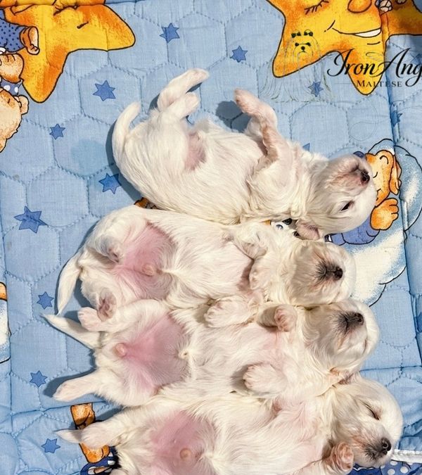 Little ones nap time 