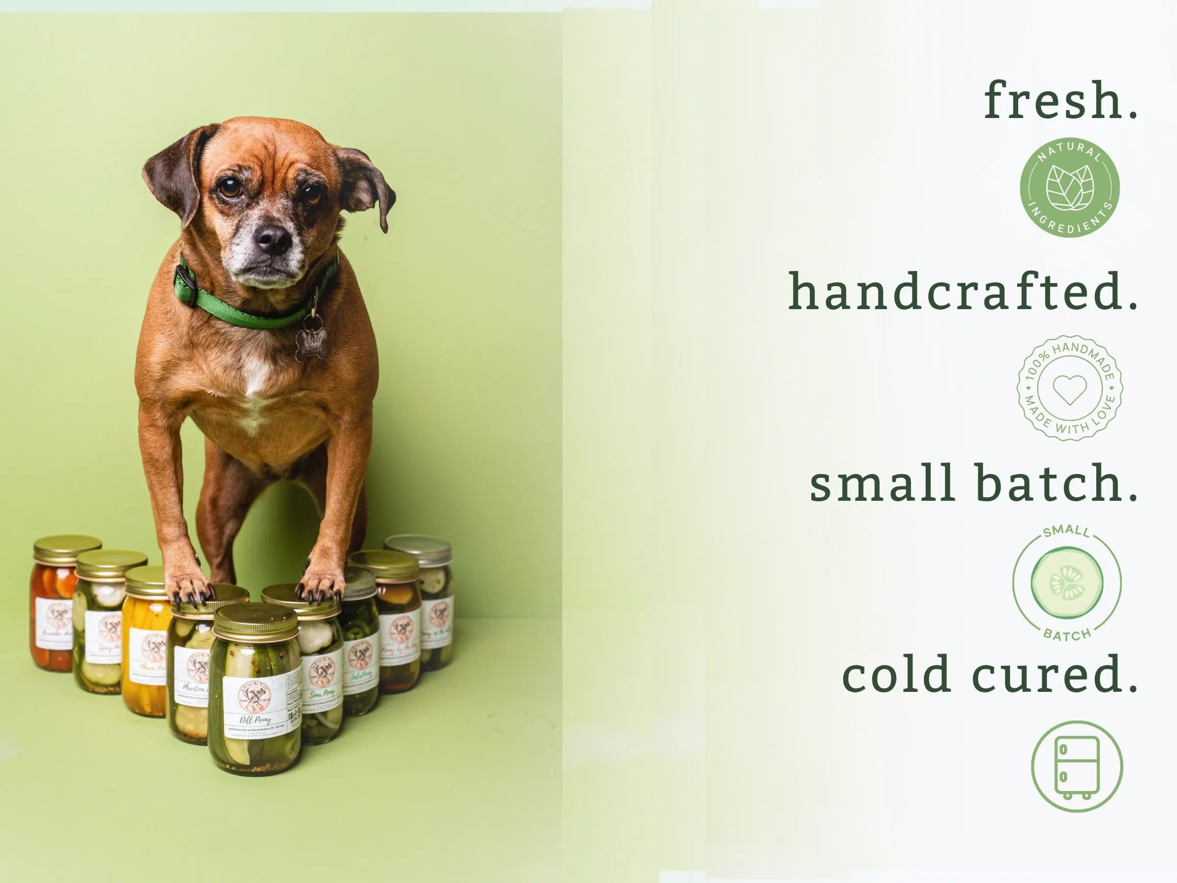 Dog stands on jars of pickles with text about fresh, handcrafted foods.