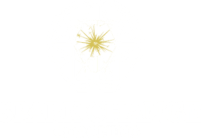 Spark Change Coaching