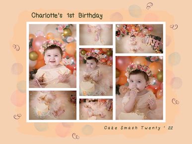 Smash Cake Portrait Photography