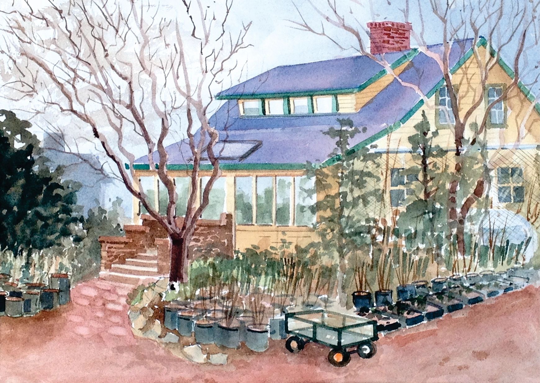 Go Natives! Nursery Native Plants Seattle, Washington