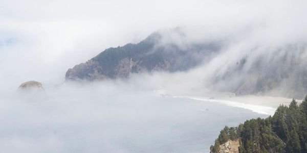 Misty coastal cliffs with dense forest and waves.