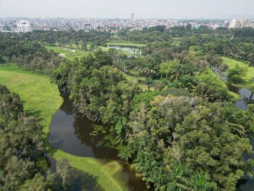 A lush green park with a winding river and distant city skyline.