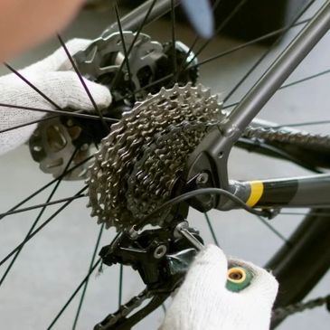 Close-up of hands adjusting a bicycle's rear gear cassette and derailleur.