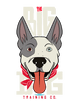 The Big Dog Training Co.