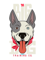 The Big Dog Training Co.