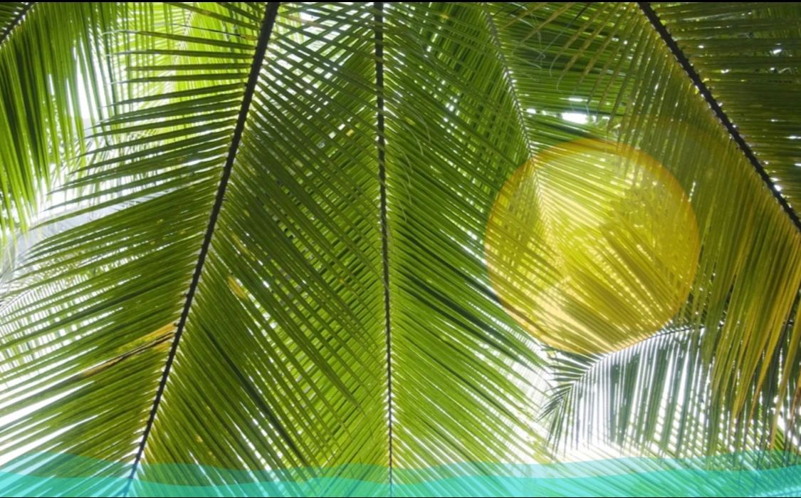 Kristina Pikunas — practitioner in Kihei, HI