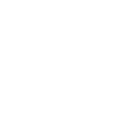 TILLANDSIAS DE COLOMBIA
